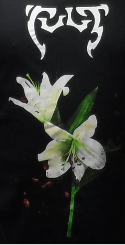 Mens Official The Cult Hidden City Logo T Shirt - immagine 4